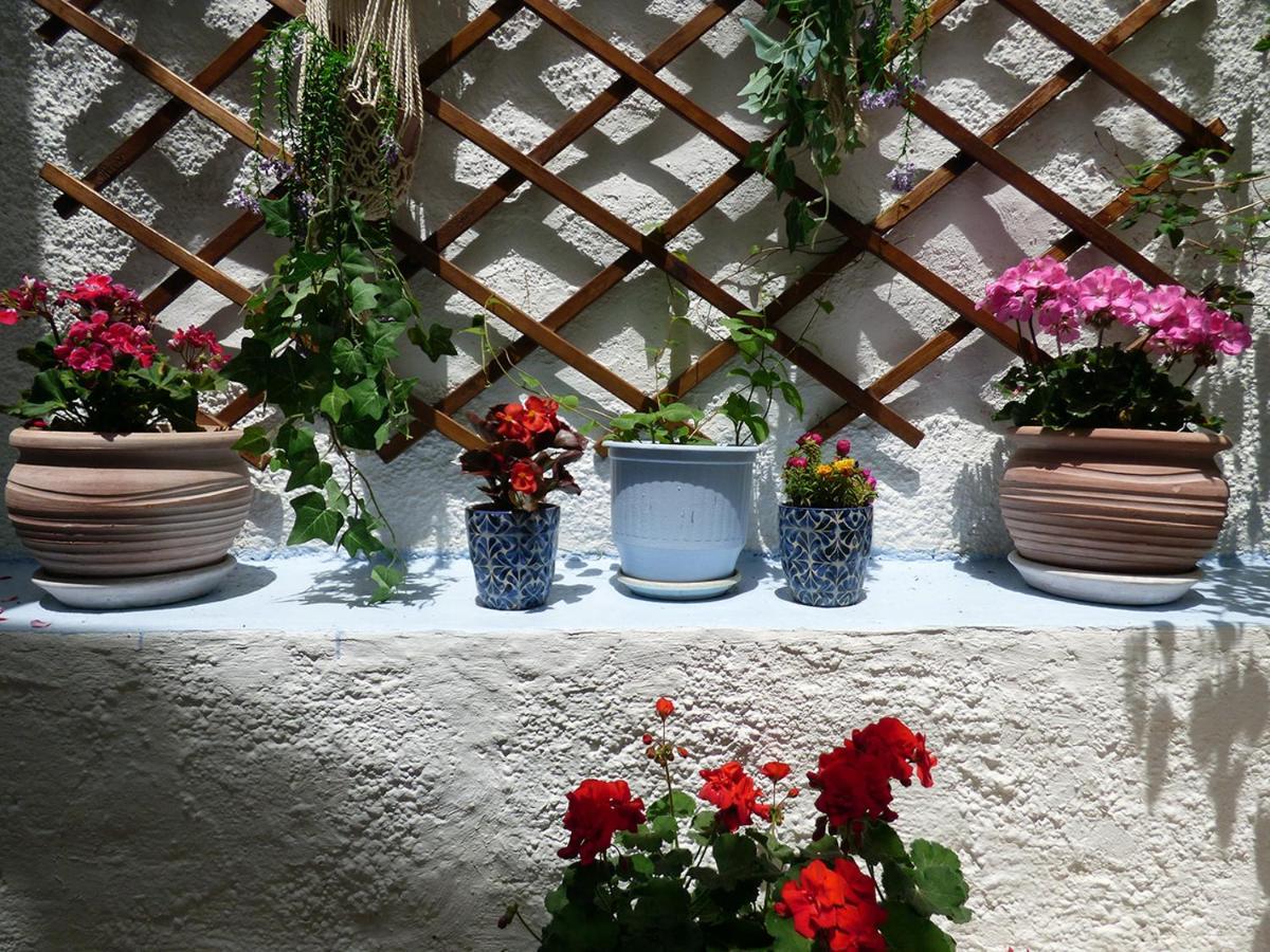 Tasoula Guest House Adamantas  Exterior photo